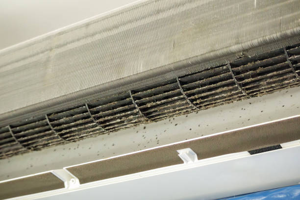 Best Best Air Duct Cleaning Company  in Travis Ranch, TX