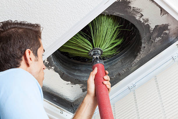 Air Duct Mold Removal in Travis Ranch, TX